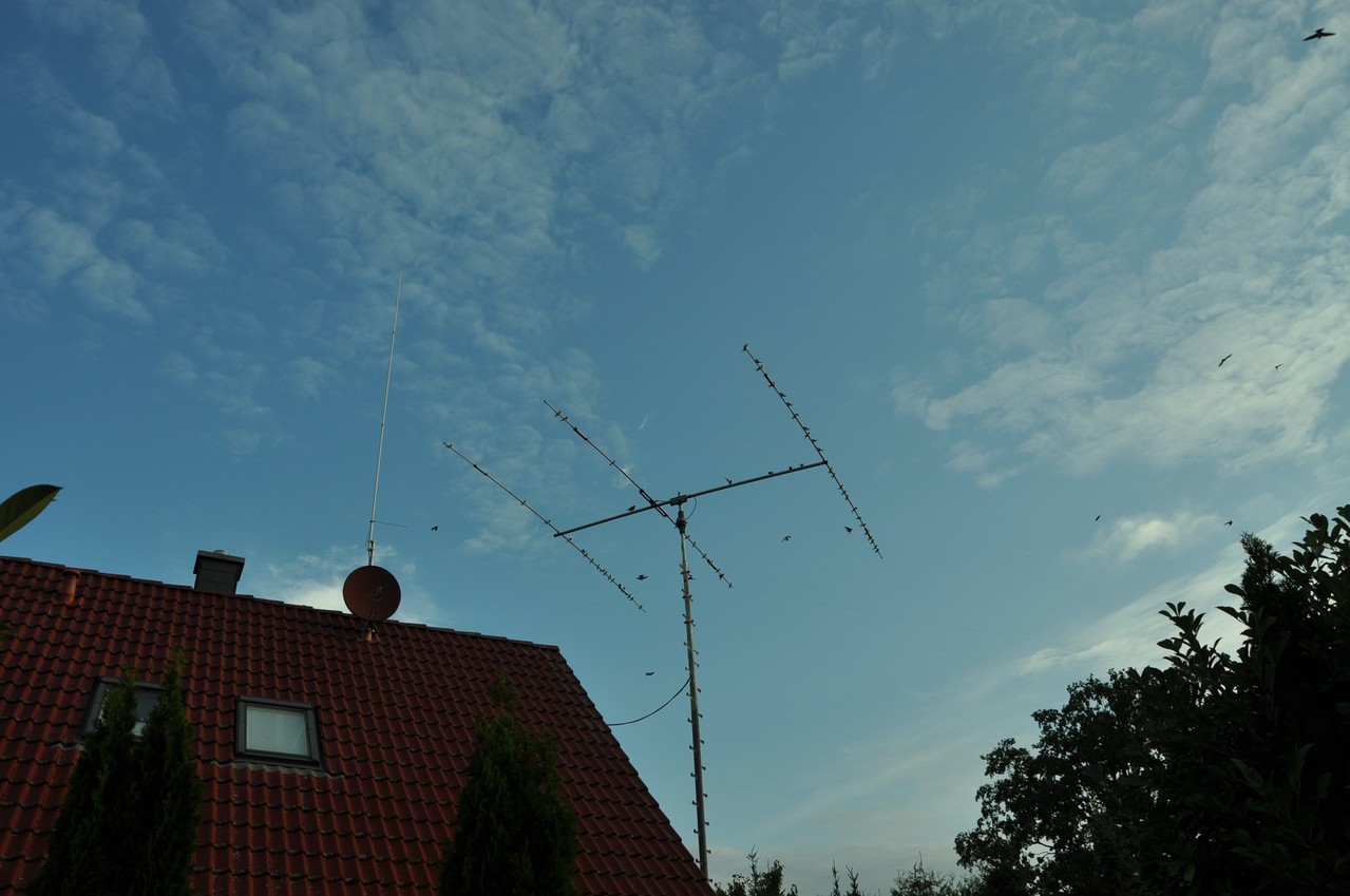 Antennen_Vogel_Platz